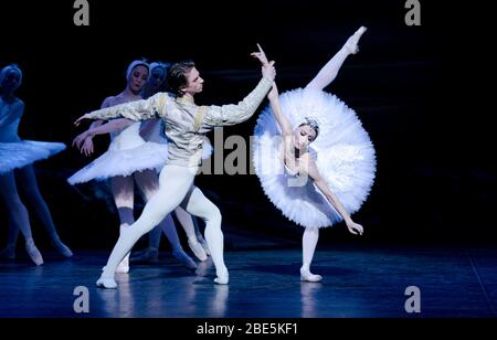 Vadim Muntagirov (Prinz Siegfried), Daria Klimentova (Odette) in SWAN LAKE präsentiert vom English National Ballet (ENB) im London Coliseum 2011 Musik: Tschaikowsky Choreographie: Derek Deane Design: Peter Farmer Beleuchtung: Howard Harrison Stockfoto