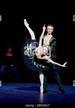 Vadim Muntagirov (Prinz Siegfried), Daria Klimentova (Odile) in SWAN LAKE präsentiert vom English National Ballet (ENB) im London Coliseum 2011 Musik: Tschaikowsky Choreographie: Derek Deane Design: Peter Farmer Beleuchtung: Howard Harrison Stockfoto