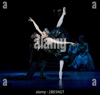 Vadim Muntagirov (Prinz Siegfried), Daria Klimentova (Odile) in SWAN LAKE präsentiert vom English National Ballet (ENB) im London Coliseum 2011 Musik: Tschaikowsky Choreographie: Derek Deane Design: Peter Farmer Beleuchtung: Howard Harrison Stockfoto