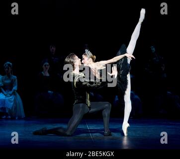 Vadim Muntagirov (Prinz Siegfried), Daria Klimentova (Odile) in SWAN LAKE präsentiert vom English National Ballet (ENB) im London Coliseum 2011 Musik: Tschaikowsky Choreographie: Derek Deane Design: Peter Farmer Beleuchtung: Howard Harrison Stockfoto