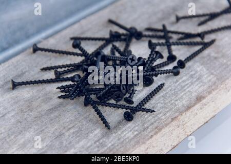 Der Zimmermann verdreht die Schrauben mit einem Schraubendreher in die Bretter. Drehen Sie die Platten mit Schrauben. Stockfoto