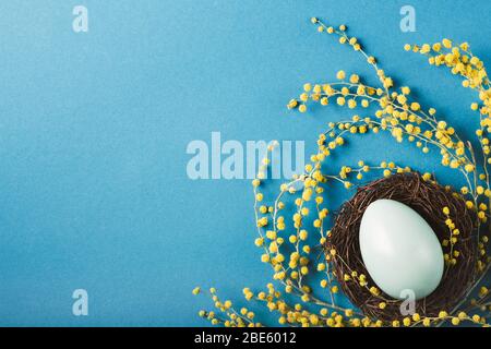 Bemaltes Ei im Nest mit gelben Mimosenblumen auf blauem Hintergrund. Osterkonzept. Kopierbereich Stockfoto