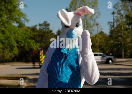 Fort Bragg, USA. 11 April 2020. Der Osterhase, der eine N95 Gesichtsmaske trägt, bereitet sich auf eine Tour durch die Fort Bragg Armeegarnison am 11. April 2020 in Fort Bragg, North Carolina vor. Der Osterhase wurde während der COVID-19, der Coronavirus-Pandemie, als moralischer Booster um die Basis eskortiert. Quelle: Madalene Hashagen/US Army/Alamy Live News Stockfoto