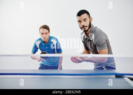 Seriöse junge multi-ethnische Team von Spielern Tischtennis spielen Stockfoto