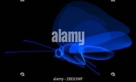 Blauer Schmetterling in schwarzem Hintergrund 3d-Rendering Stockfoto