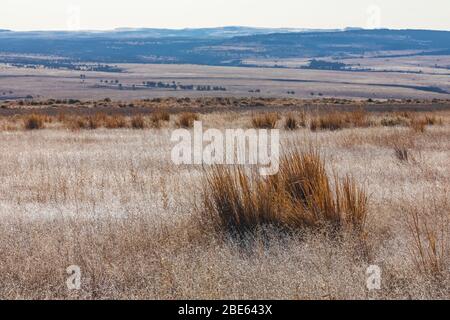 Frost auf einer Wiese voller Gräser im Oktober im Malheur National Wildlife Refuge, Oregon, USA Stockfoto