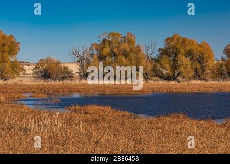 Benson Pond, ursprünglich vom CCC als Lebensraum für Wildtiere geschaffen, im Malheur National Wildlife Refuge, Oregon, USA Stockfoto