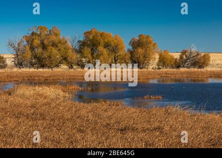 Benson Pond, ursprünglich vom CCC als Lebensraum für Wildtiere geschaffen, im Malheur National Wildlife Refuge, Oregon, USA Stockfoto