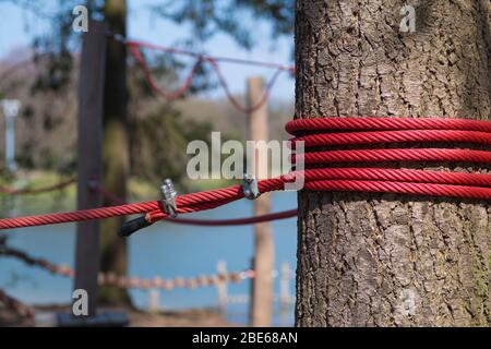 Rotes Seil um einen Baum in einem Outdoor-Kletterpark und Abenteuerpark Stockfoto