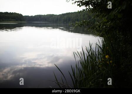 Ein kleiner Teich im Sommer in Russland rund um das grüne Gras. Stockfoto