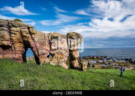 Caiplie Caves, oder Coves, Felsformationen entlang der Nordsee auf dem Fife Coastal Path, Crail, Schottland, Europa Stockfoto