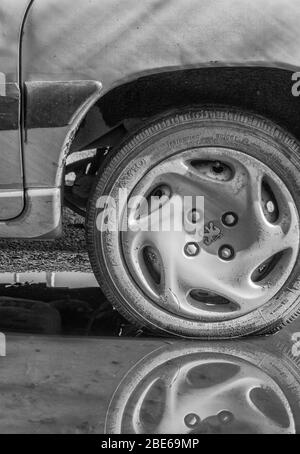 Kitty schwarz-weiß von Rad / Reifen und Radbogen eines Peugeot-Autos, mit Peugeot Marquelion-Logo sichtbar auf Radkappe. HDI aber genaues Modell unbekannt. Stockfoto