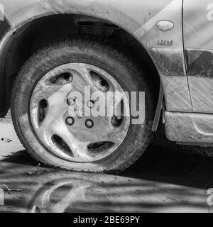 Kitty schwarz-weiß von Rad / Reifen und Radbogen eines Peugeot-Autos, mit Peugeot Marquelion-Logo sichtbar auf Radkappe. HDI aber genaues Modell unbekannt. Stockfoto