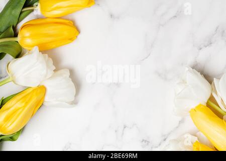 Muttertag Hintergrund mit weißen und gelben Tulpen auf Marmortisch. Frühlingskonzept. Kopierbereich Stockfoto