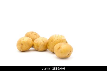 Frische ganze weiße Kartoffeln auf weißem Hintergrund mit reichlich Kopierfläche fotografiert. Stockfoto