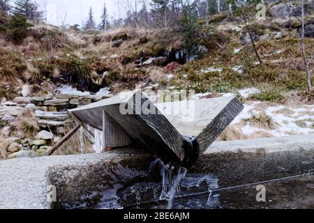 Pferdewasserrinne, Pferdewasserquelle auf dem Weg zu Herrn Floyen im Wald bei Bergen, Norwegen, Skandinavien. Stockfoto