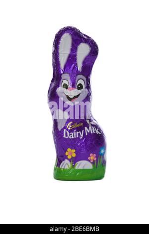 Cadbury Schokoladenhasen auf weißem Hintergrund Stockfoto