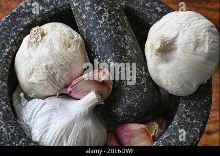 Nahaufnahme von frischen Knoblauchzehen und Zwiebeln in einem Granitmörtel und Stößel Stockfoto