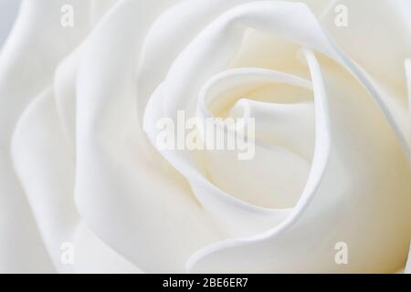 Weiße Blume geformt welligen Formen Stockfoto