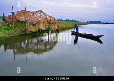 Ländliche bengalen und Landschaft Stockfoto