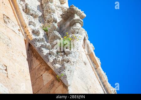 Blumen wachsen auf dem steinernen Kirchturm Stockfoto