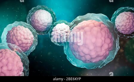 Gruppe von Stammzellen mit Membran und Zellkern Nahaufnahme auf blaugrünem Hintergrund. Biomedizinisch, Biologie, Mikrobiologie, Wissenschaft, Medizin mikroskopisch 3d Stockfoto