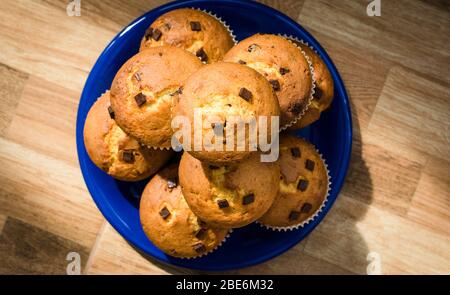 Goldene Muffins mit Schoko-Chips Stockfoto