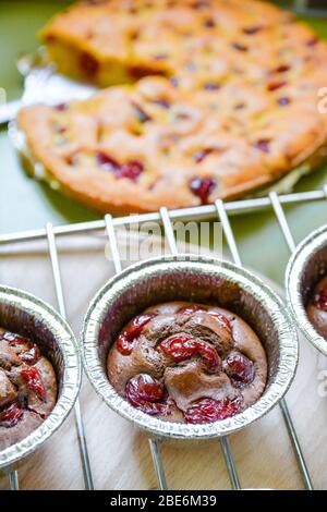 Kakao-Muffins mit Sauerkirschen Stockfoto