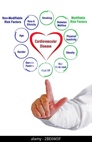 Nicht veränderbare und änderbare Risikofaktoren für Herz-Kreislauf-Erkrankungen Stockfoto