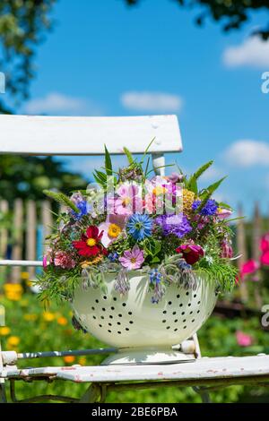 Farbenfroher Wildblumenstrauß in einem Topf Stockfoto