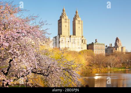 Kirschblüte am See im Central Park und Skyline von Gebäuden in Manhattan, New York City, NY, USA Stockfoto
