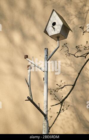 Vogelhaus auf dem Eisenrohr. Vogelhaus Stockfoto