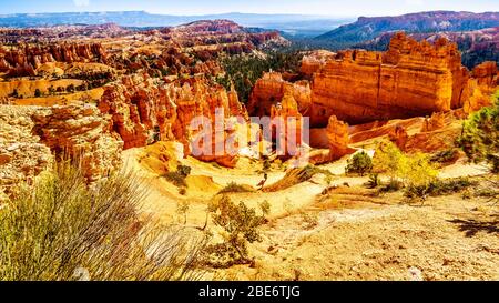 Der Wall Street Wanderpfad durch die Vermilion Coloured Pinnacles und Hoodoos im Bryce Canyon National Park, Utah, USA Stockfoto