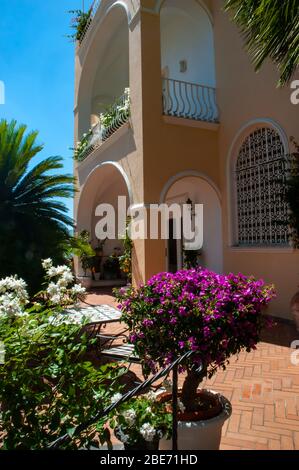 Blumen und Statuen auf der Insel Capri Italien Stockfoto