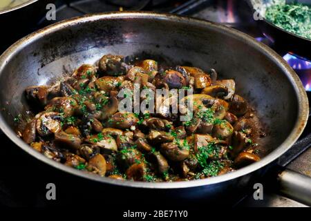 Pilze und Zwiebeln in einer Pfanne auf Feuer anbraten Stockfoto