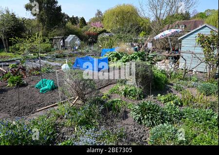 Attraktive Kleinteile in London an einem sonnigen Tag im Frühling. Stockfoto