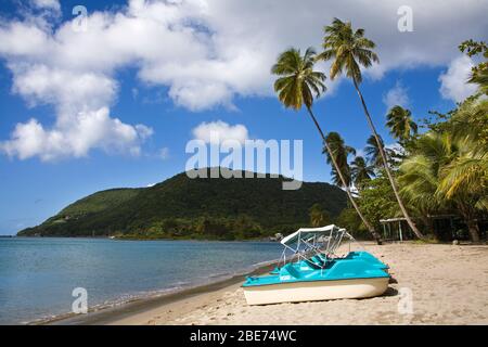 Purple Turtle Beach Club, Prince Rupert Bay, Portsmouth City, Dominica, Kleine Antillen, Windward Islands, Karibik Stockfoto