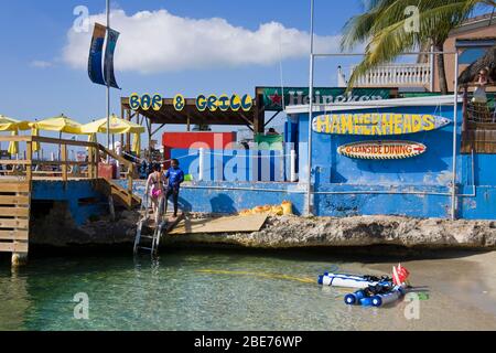 Hammerhaie Bar & Tauchbasis, George Town, Grand Cayman, Cayman-Inseln, große Antillen, Karibik Stockfoto