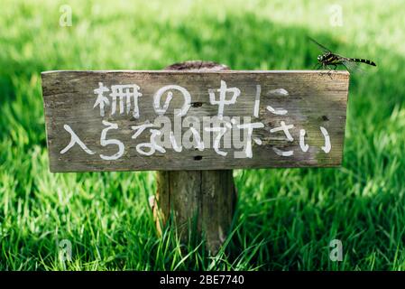 Libelle thront auf Parkschild in Suizenji Garden in Kumamoto. Stockfoto