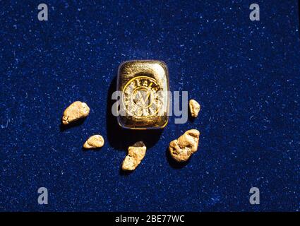 Reines Neuseeland Gold, glitzernde im Herbstsonne. Barren, Nuggets und feine Stücke, die ich mit der traditionellen Panning-Methode gesammelt. Stockfoto