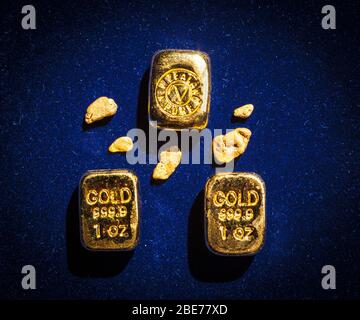 Reines Neuseeland Gold, glitzernde im Herbstsonne. Barren, Nuggets und feine Stücke, die ich mit der traditionellen Panning-Methode gesammelt. Stockfoto