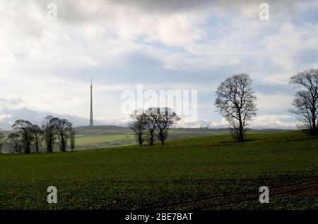 Von Bäumen gesäumtes Feld mit Emley Moor Transmitter Station im Hintergrund Stockfoto