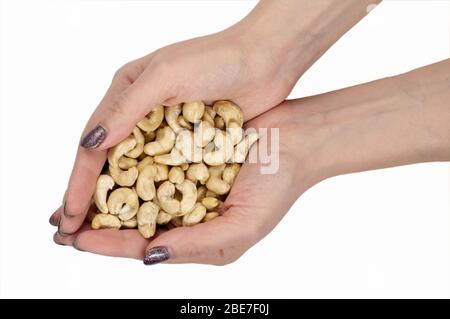 Food Konzept. Nahaufnahme von Zicklein Hände halten geschälte Cashewnüsse auf weißem Hintergrund Stockfoto