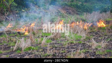 Brand einer landwirtschaftlichen Landwirtschaft / der Bauer verwendet Brandverbrennungen Stobel auf dem Feld Rauch verursacht Dunst mit Smog Luftverschmutzung Ursache der globalen Erwärmung Konzept, Stockfoto