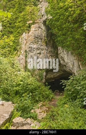 Cathole Cave, Parc-le-Breos, Parkmill, Gower Peninsula, Swansea, South Wales, Großbritannien Stockfoto