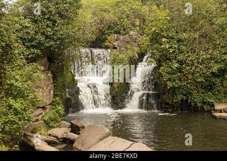 Wasserfall auf dem Fluss Llançà, Penllergare Tal Woods, Penllergaer, Swansea, South Wales, Großbritannien Stockfoto