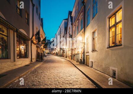 Tallinn, Estland - 4. Dezember 2016: Blick Auf Die Alte Architektur Auf Der Dunkri Straße Bei Abendlichen Nachtbeleuchtungen. Stockfoto