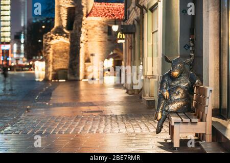 Tallinn, Estland - 5. Dezember 2016: Black Angus Skulptur - Bronze Stier Kuh Statue, sitzt auf der Bank in der Nähe von Cafe. Nacht ansehen. Stockfoto