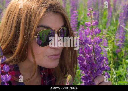 Frau in Sonnenbrillen hält von lila Lupine in einem blühenden Feld. Blühende Lupinenblüten. Umweltfreundlich. Stockfoto