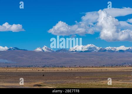 Aymaran Land mit der Cordillera Real und ihren 6.000 m hohen Gipfeln, Halbinsel Huata, Department La Paz, Bolivien, Lateinamerika Stockfoto